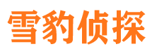 甘洛外遇出轨调查取证